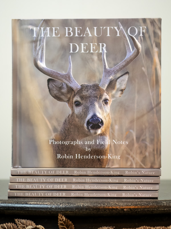 *The Beauty of Deer Hardcover Coffee Table Book