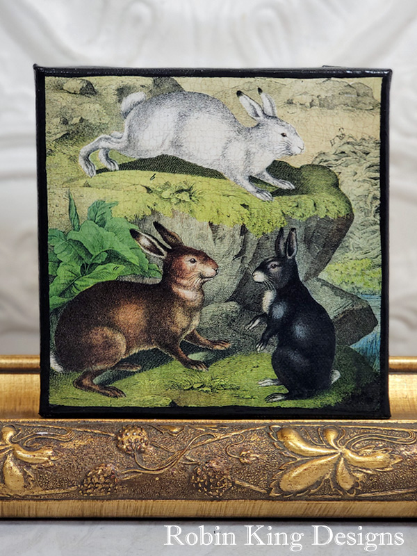 Rabbits from Antique Text Book Canvas 6 by 6 Inches