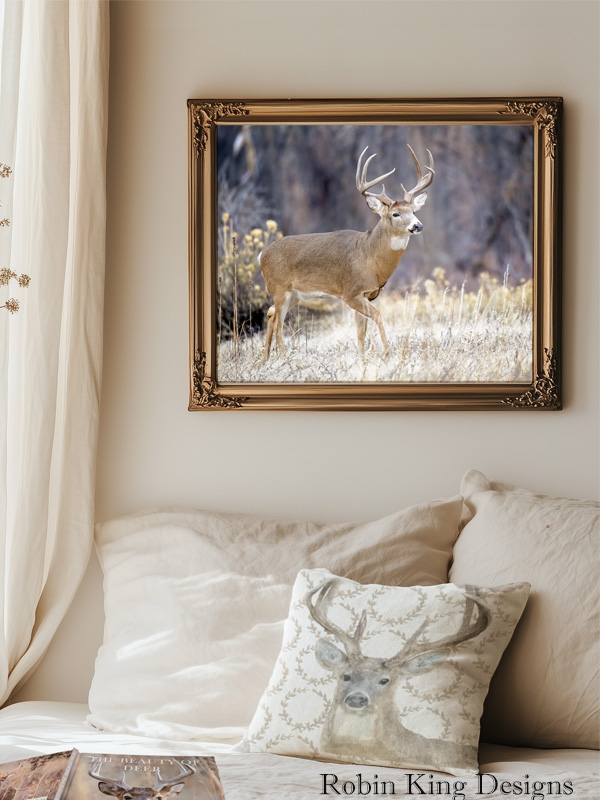 Whitetailed Buck Print 11 by14